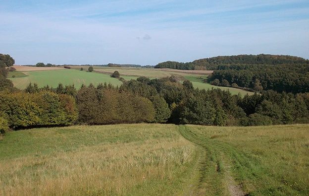 Hinter dem Dorf wird es weit: Wiesen, Felder und Wald am Einetal südlich von Steinbrücken.