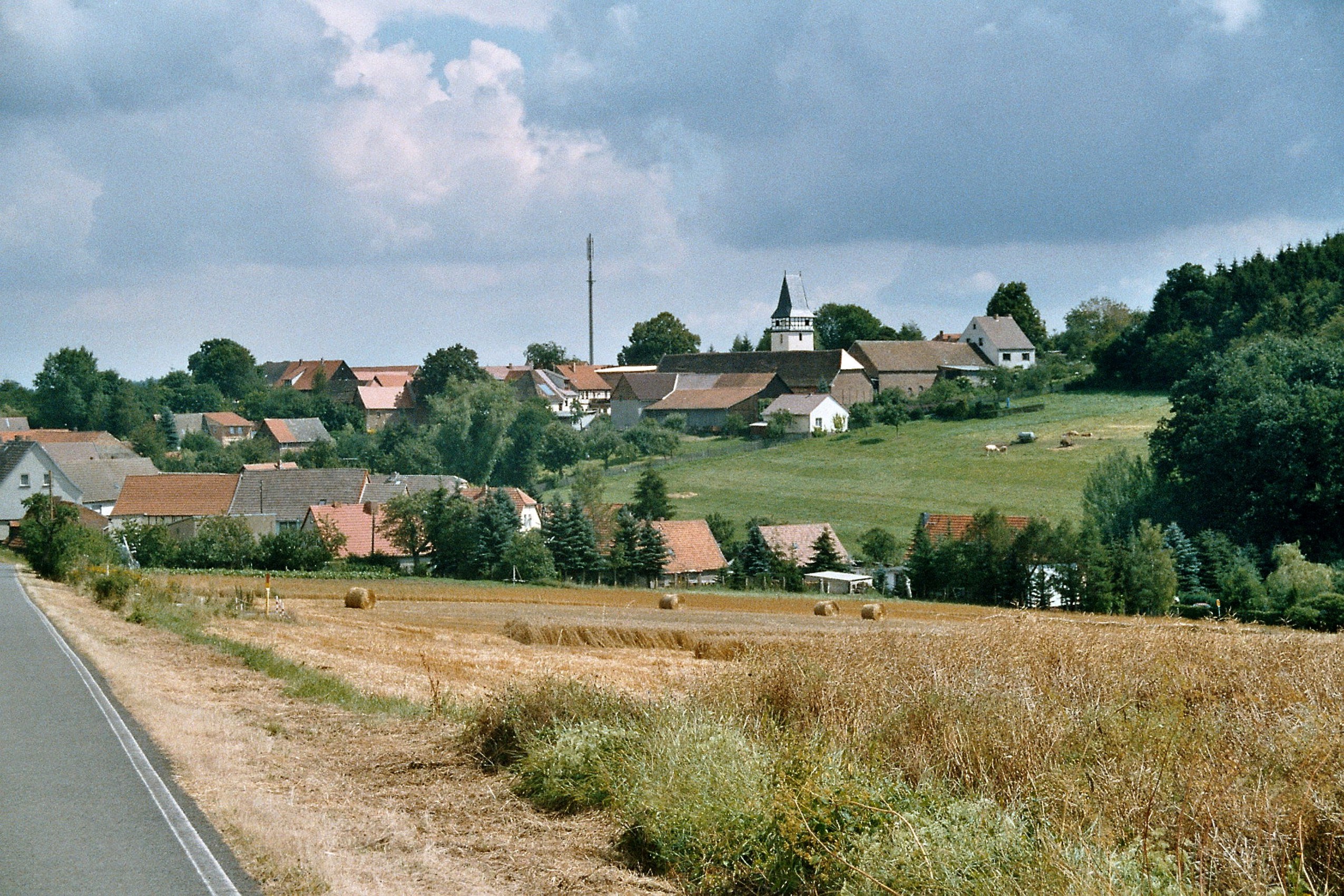 Blick auf Abberode mit Strohballen auf dem abgeernteten Feld und Weidetieren am Hang