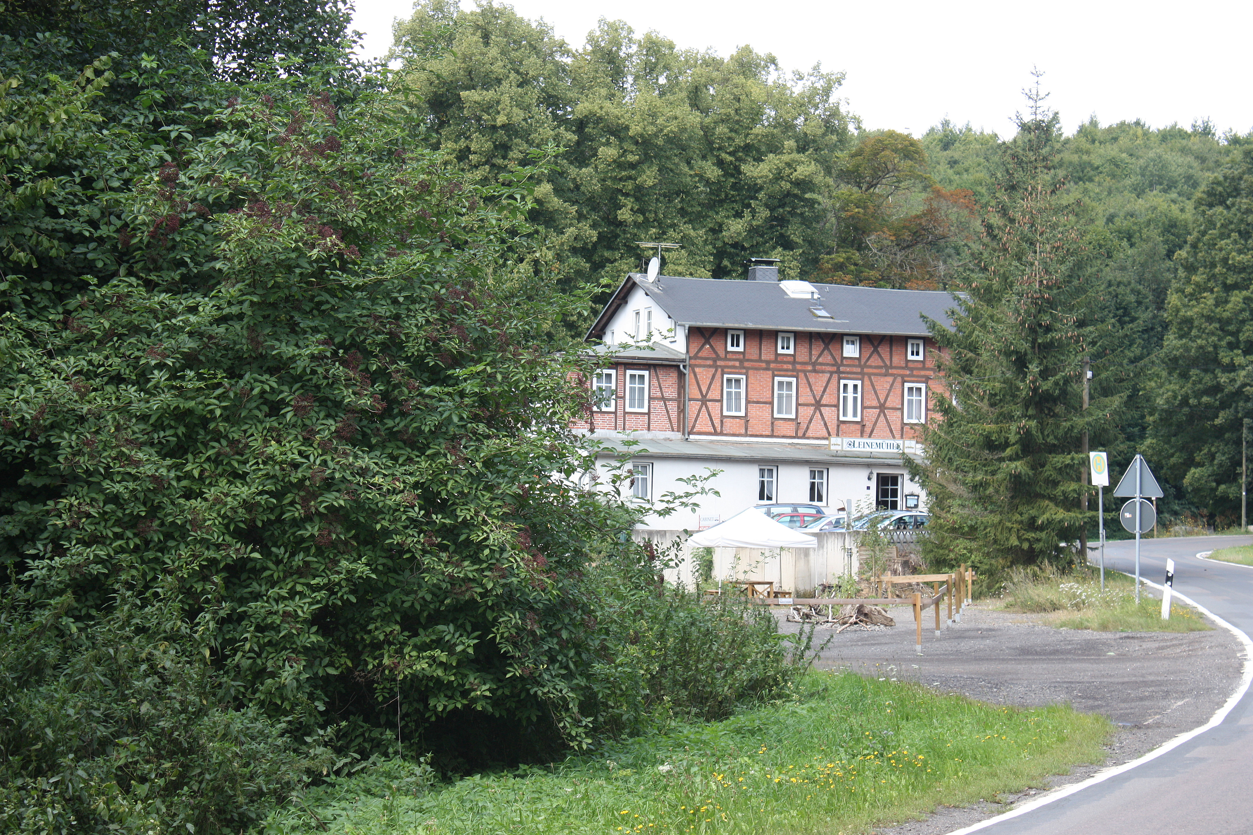 Die Leinemühle zwischen Bäumen an der Straße, Aufnahme 2012