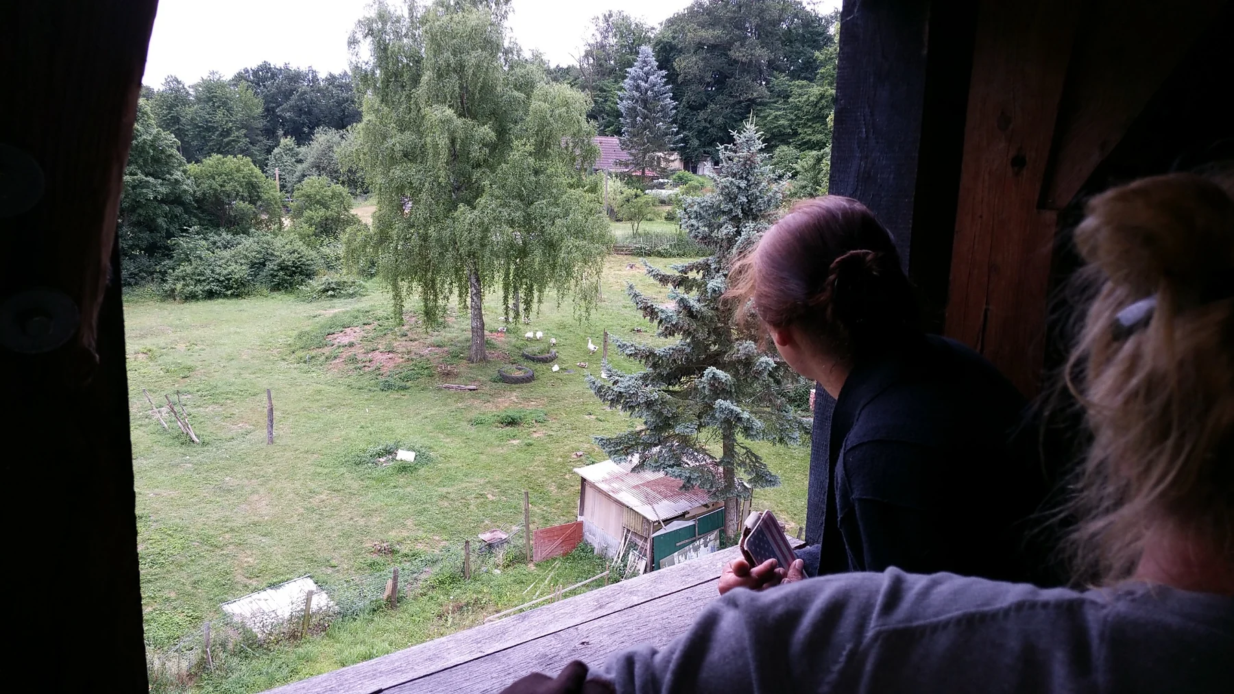 Blick aus dem Glockenturm auf Gärten und eine grüne Wiese mit Bäumen, im Vordergrund Besucherinnen