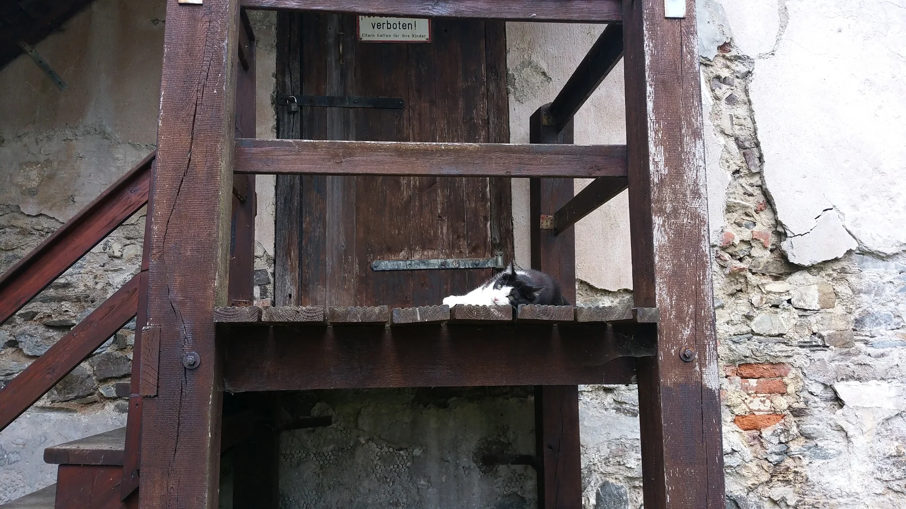 Schwarzweiße Katze liegt auf dem Holzpodest vor der Eingangstür des Abberöder Glockenturms